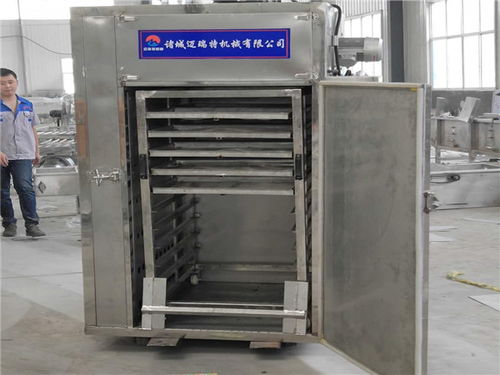 豆干烘干流水線參數(shù) 諸城邁瑞特 江西豆干烘干流水線