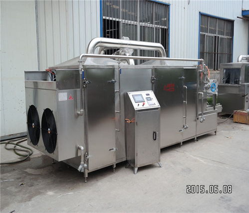 水果加工定制烘干機圖片 山東嘉信工業裝備